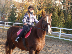 hair, horse, bridle, rein, sports, helmet