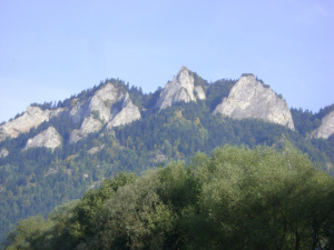 sky, forest, rock, mountain