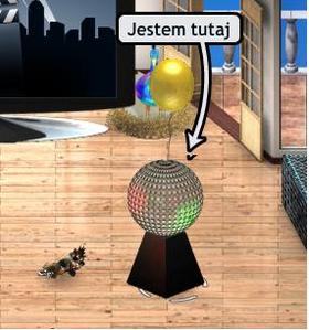 coś na mnie spadlo o.0.JPG