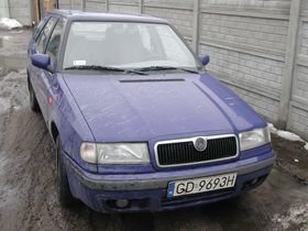 Zdjęcie 80701456