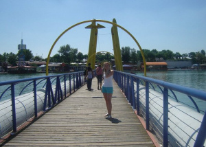 dog, bridge