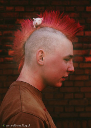 hair, ear
