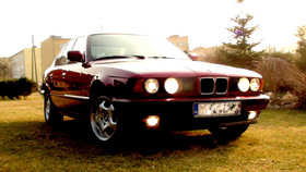 Zdjęcie 81815078