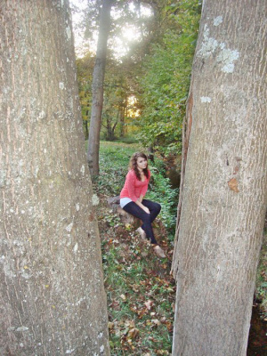 forest, trunk