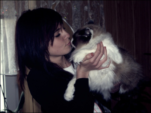 hand, textile, fur, dog, cat