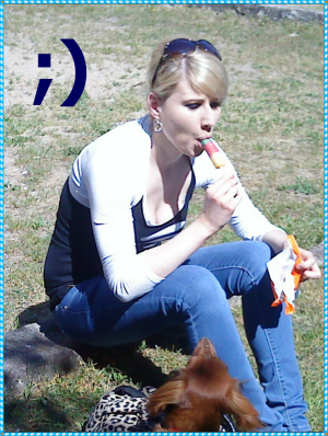 sitting, dog, pet