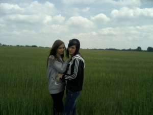 field, prairie, plant, farm