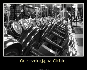 poster, wheel