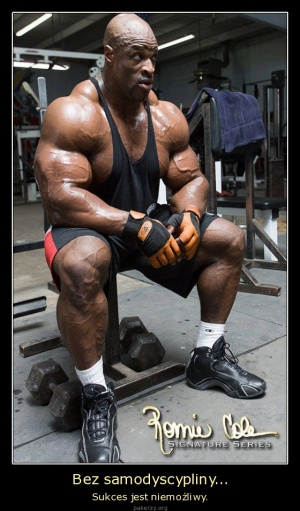 muscle