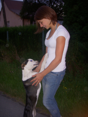 hand, fun, jeans, dog
