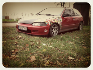 vehicle, car, wheel
