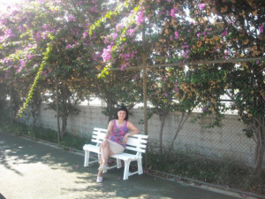 sitting, leisure, chair