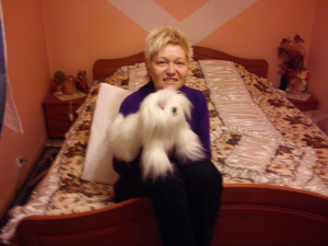 dog, cat