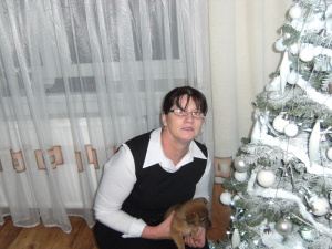 dog, christmas, event