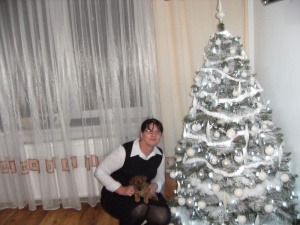 sitting, dog, christmas, event