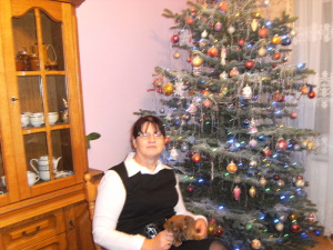 dog, christmas, event