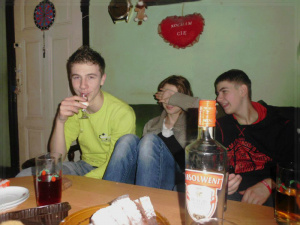 fun, tableware, alcohol