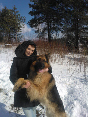 dog, pet