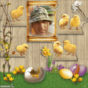 bird