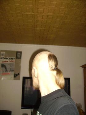 Zdjęcie 91418761