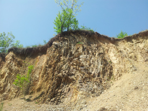 soil