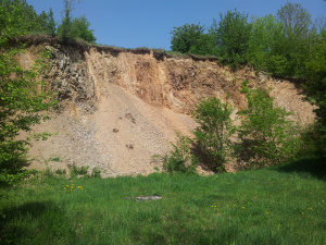 soil