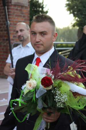 petal, plant, flower