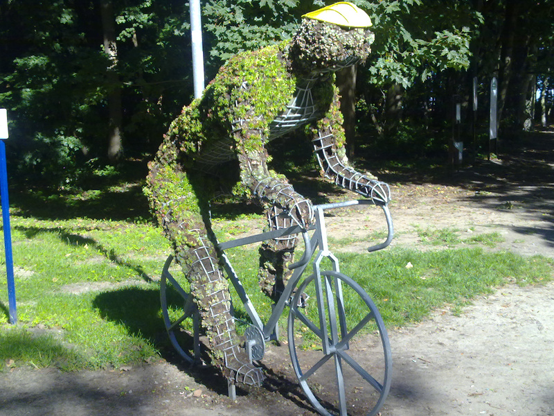 vehicle, bicycle, wheel