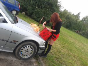 vehicle, car, wheel