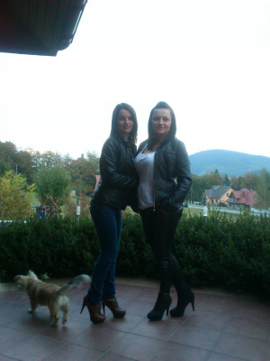 dog, pet