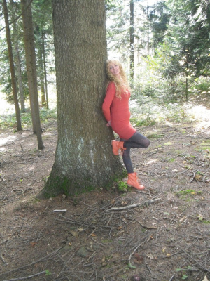forest, plant, trunk