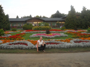leisure, flower, garden