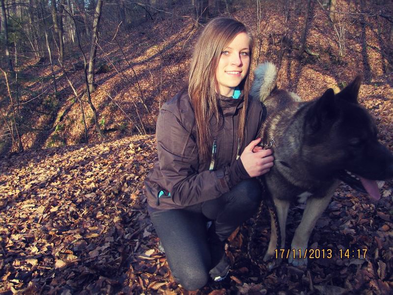 jacket, forest, dog