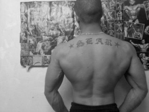 muscle