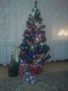 Zdjęcie 96231515