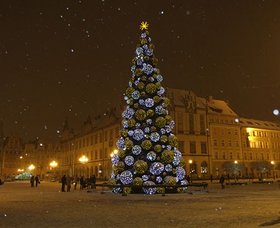 Zdjęcie 96302193