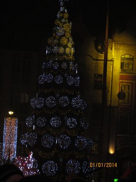 Zdjęcie 96457074