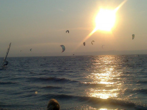 sky, bird, sunset