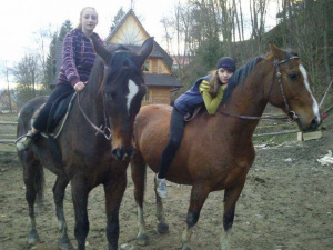 hair, horse, bridle, rein