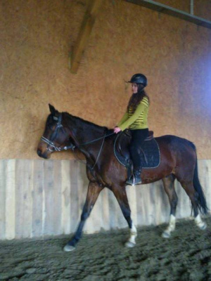 hair, horse, bridle, rein, sports