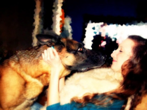 dog, pet