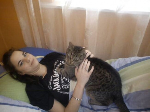 cat, pet