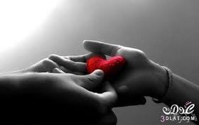 images (8)