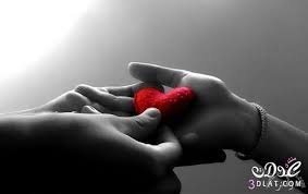 images (8)