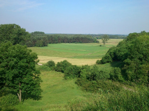 field, prairie