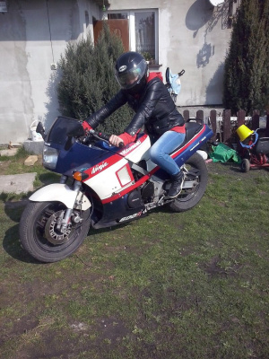 vehicle, wheel, motorcycle