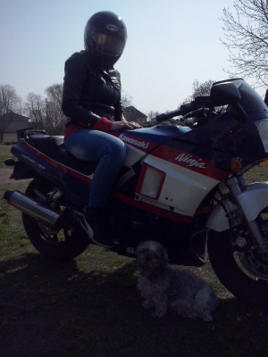 vehicle, motorcycle