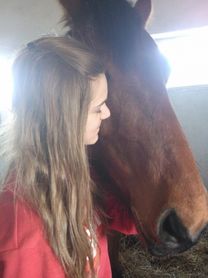hair, cool, ear, horse