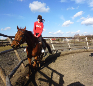 hair, horse, bridle, rein, sports