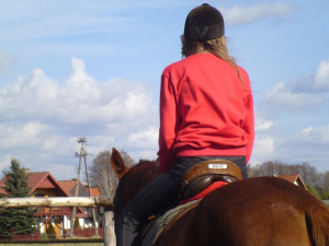 hair, horse, bridle, rein, sports